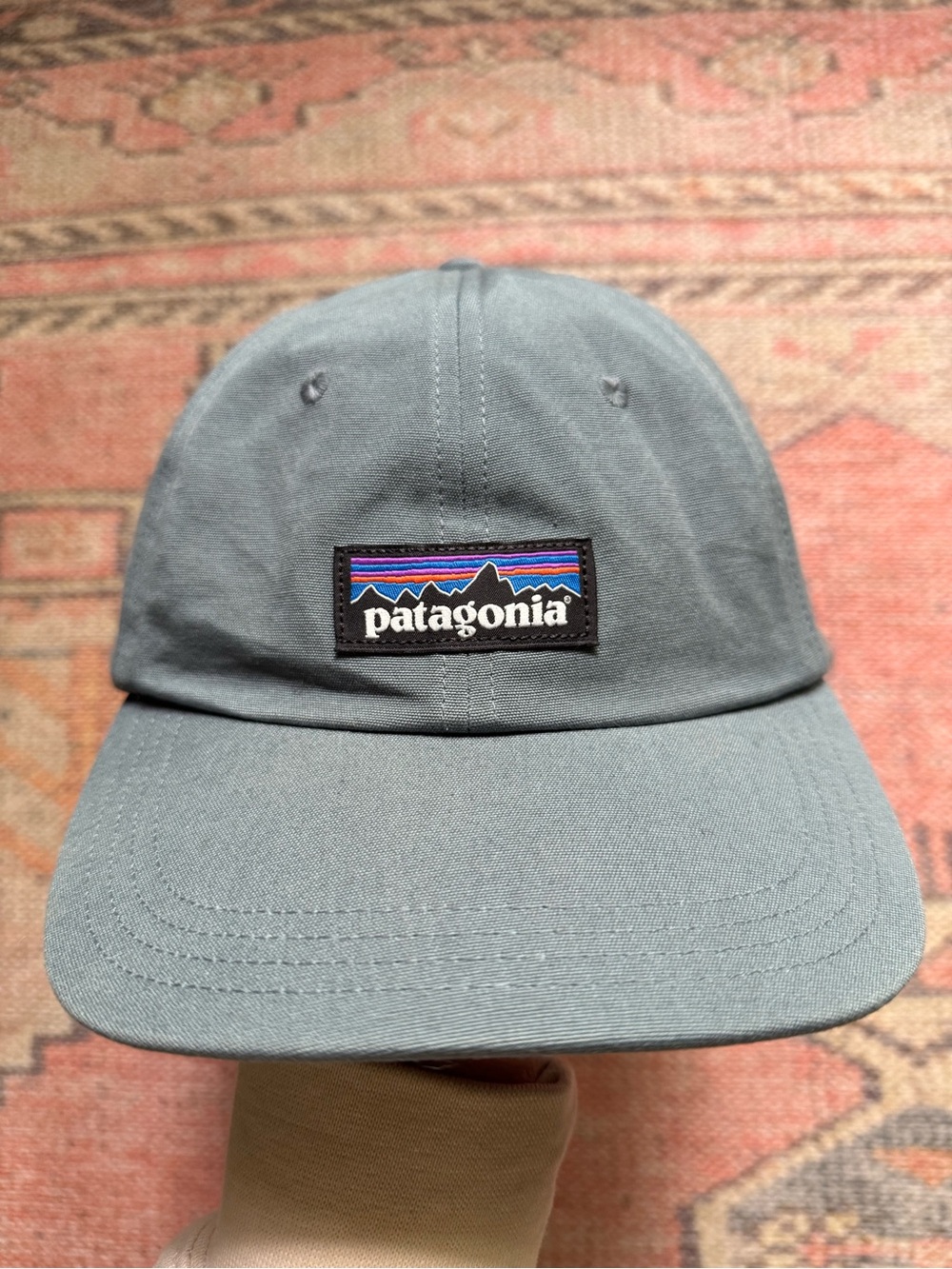 Patagonia Logo Cap